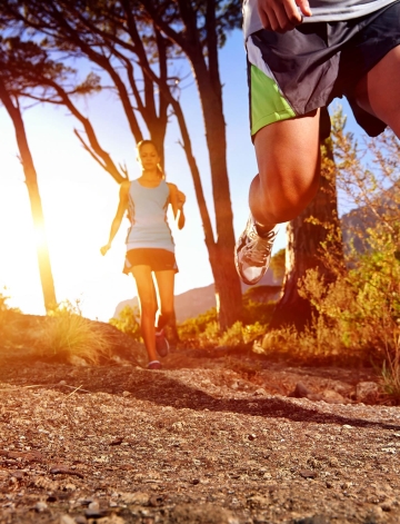 Info´s zur Strecke 2025