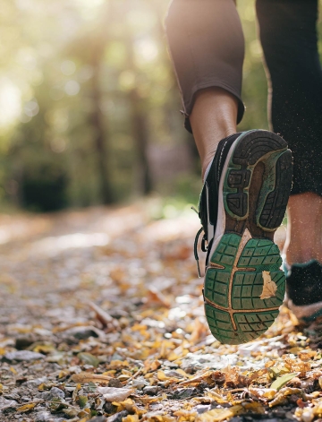 Knapp 400 Starter beim Nibelungenrun 2025